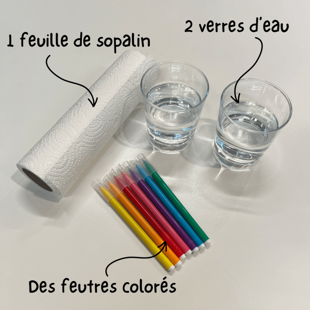 Exprience de l'arc-en-ciel -  P'tit Mme